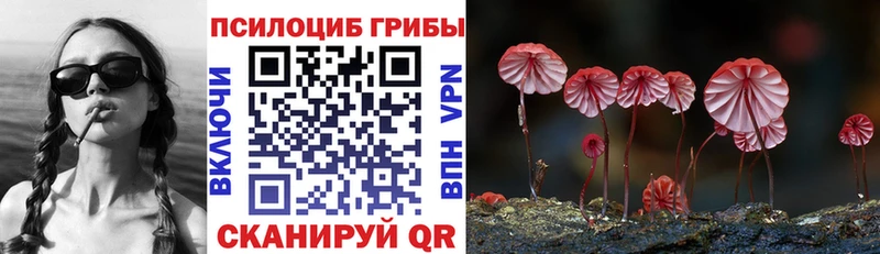 Псилоцибиновые грибы GOLDEN TEACHER  KRAKEN зеркало  Байкальск  где купить наркоту 